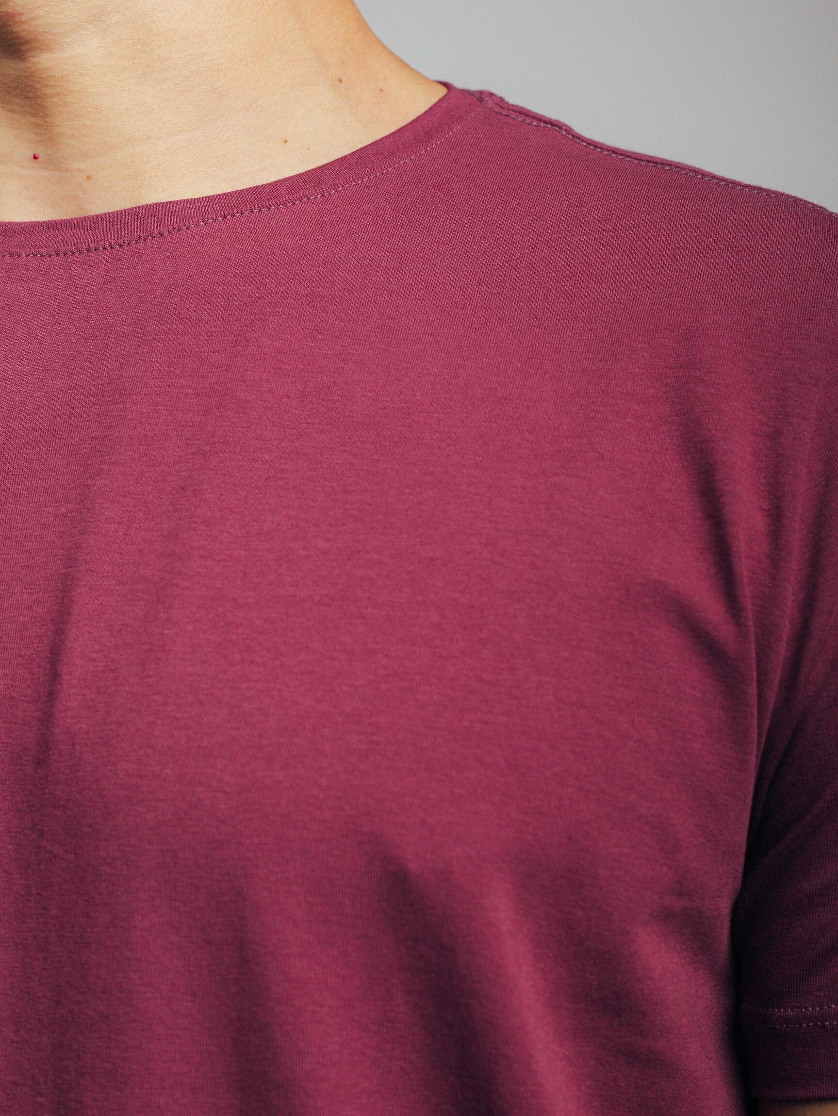 Camiseta Egípcio Gola Redonda Cabernet