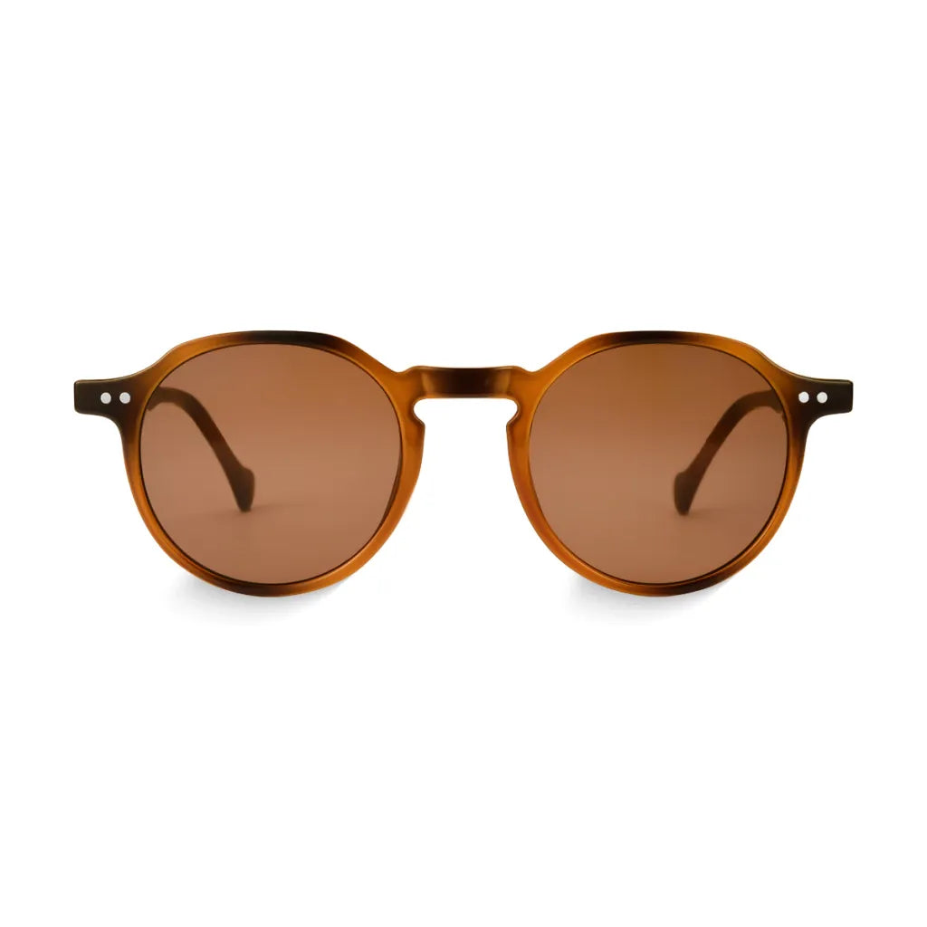 Oculos de Sol Redondo Gaia Tortoise Classico