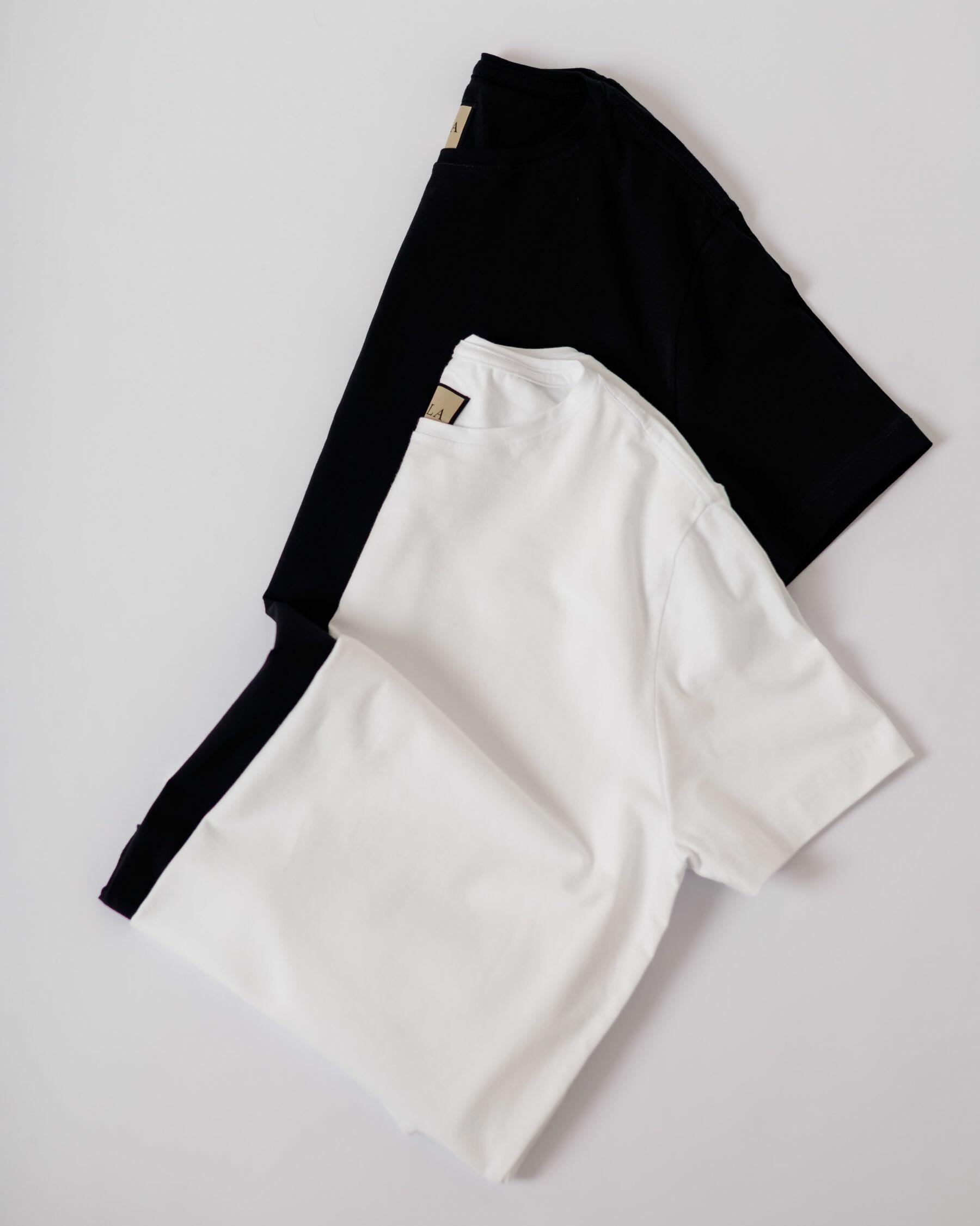 Kit 2 Camisetas Premium Algodão Egípcio