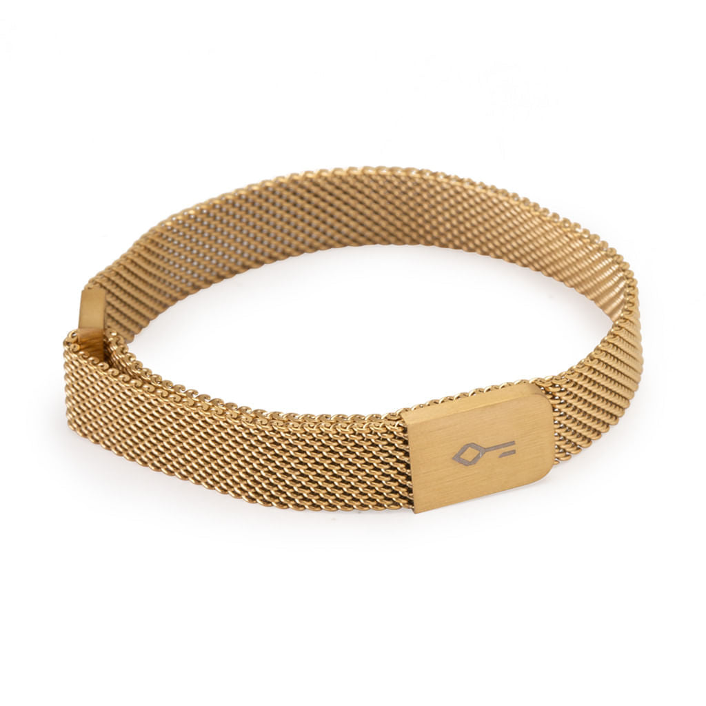 Pulseira Imã Gold